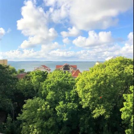 Appartement Vue Sur Baie Et Ocean, 100 M De La Plage Et Du Centre Par Chemin Prive Arcachon Ngoại thất bức ảnh