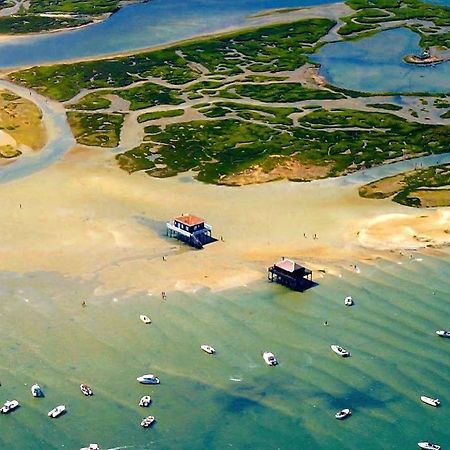 Appartement Vue Sur Baie Et Ocean, 100 M De La Plage Et Du Centre Par Chemin Prive Arcachon Ngoại thất bức ảnh