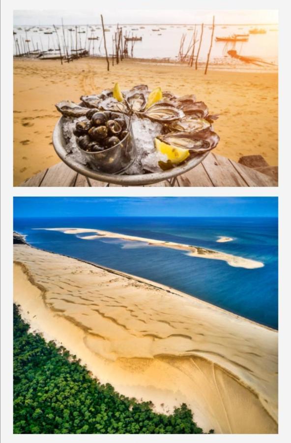 Appartement Vue Sur Baie Et Ocean, 100 M De La Plage Et Du Centre Par Chemin Prive Arcachon Ngoại thất bức ảnh
