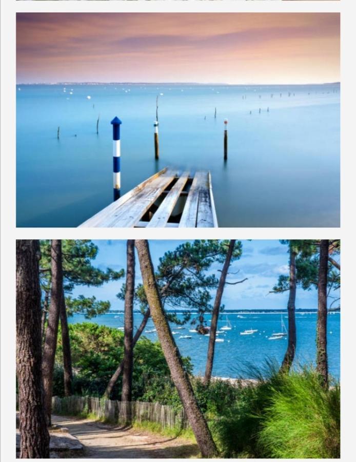 Appartement Vue Sur Baie Et Ocean, 100 M De La Plage Et Du Centre Par Chemin Prive Arcachon Ngoại thất bức ảnh